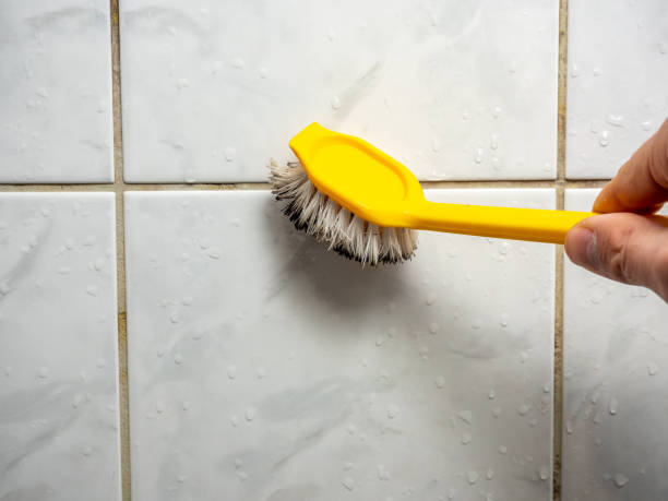 Best Insurance-Related Mold Remediation in Uvalde Estates, TX