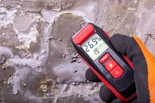 Reliable Uvalde Estates, TX Mold Remediation Solutions