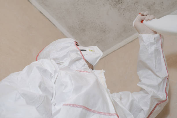 Best Crawl Space Mold Remediation in Uvalde Estates, TX