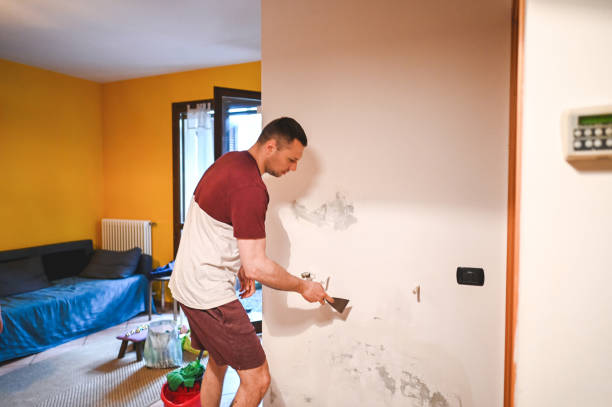 Best Insurance-Related Mold Remediation in Uvalde Estates, TX